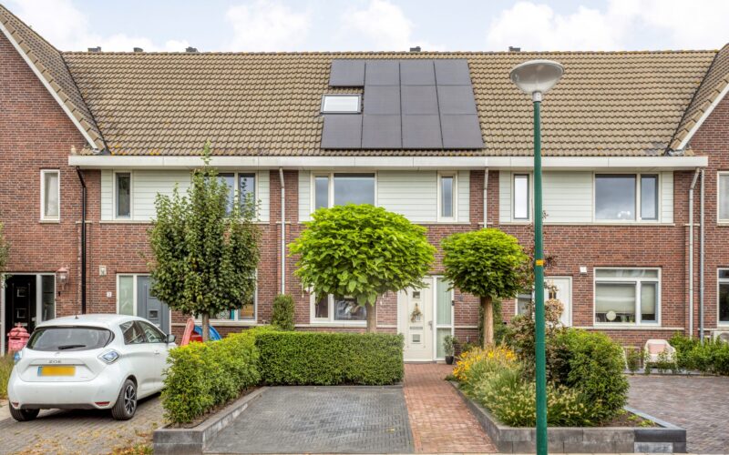 Stuivenes 5