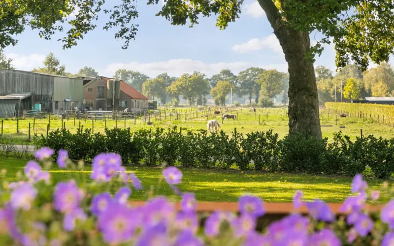 Tips om je huis in de zomer te verkopen