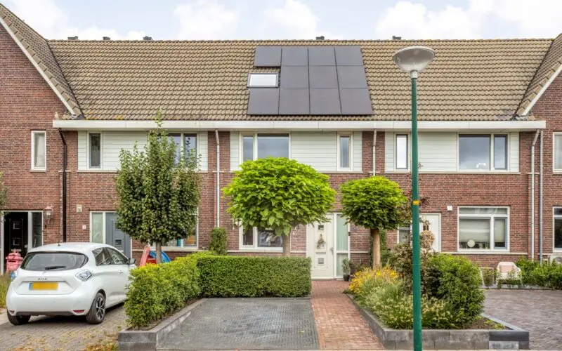 Stuivenes 5